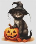 (image for) Halloween Cat